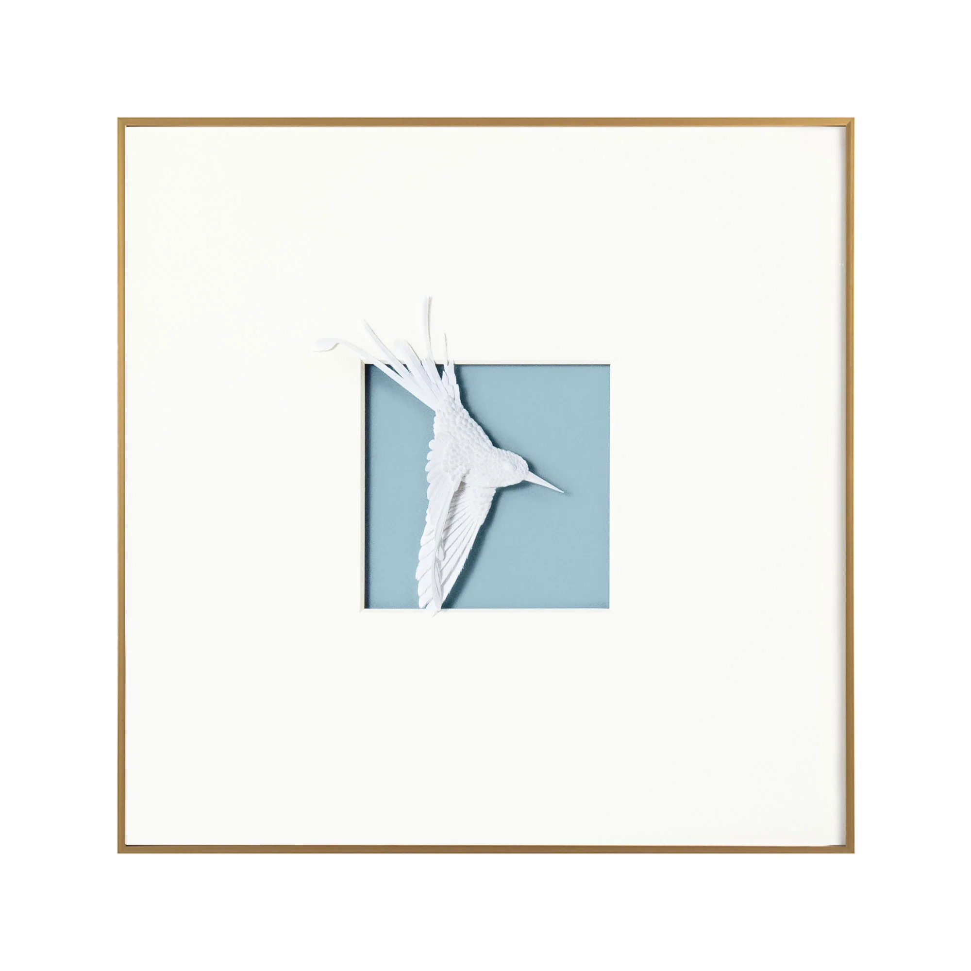 Aviary Framed Art - Turaco