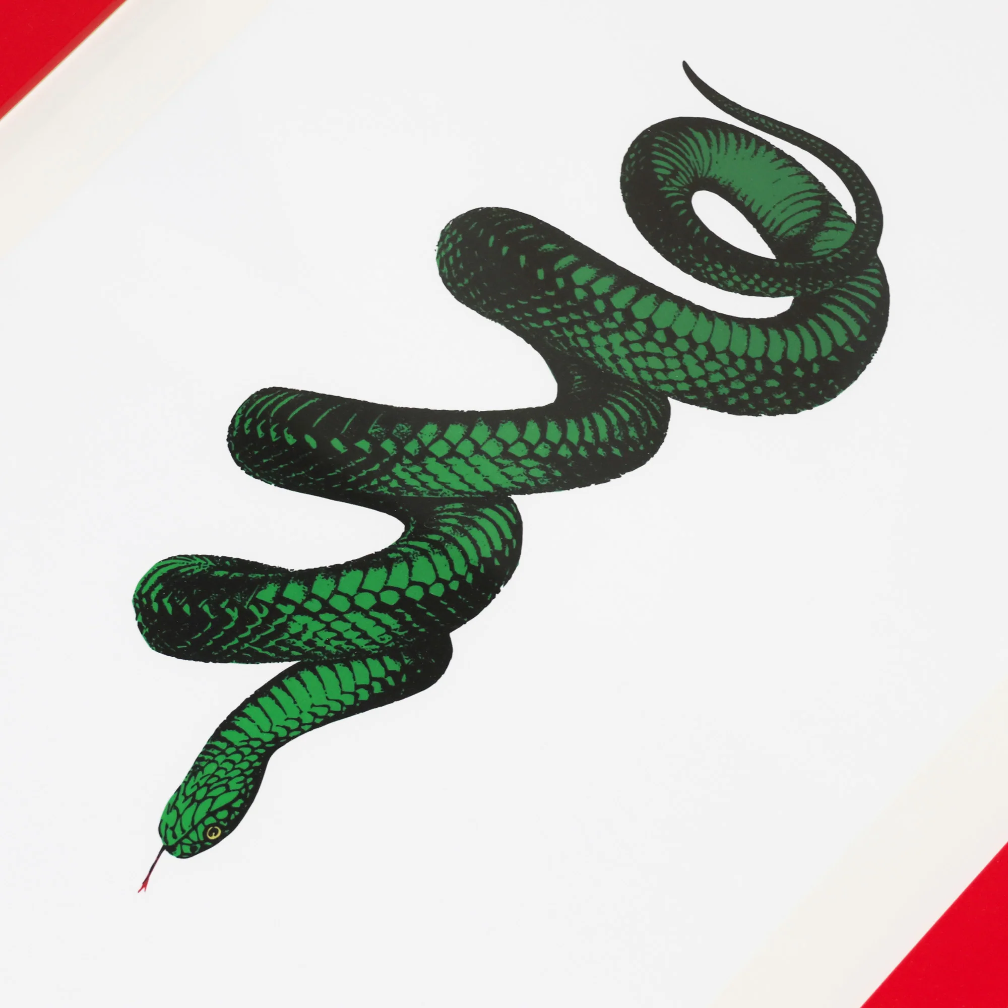 Bite Back Series - Emerald - Image 2