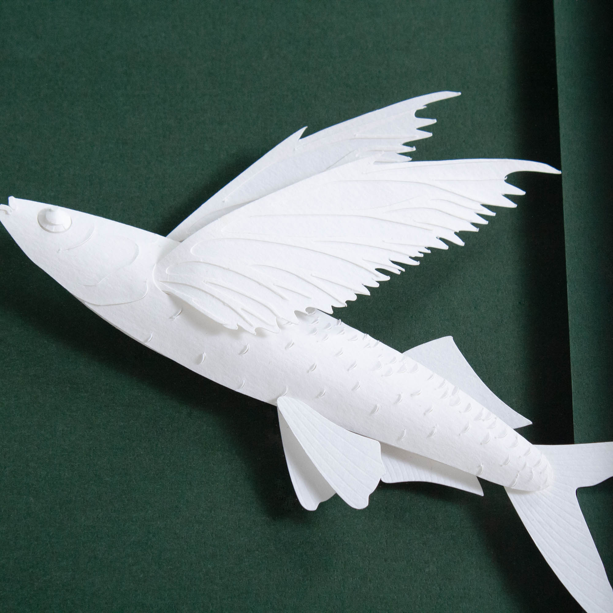 Brant Point Flying Fish - Image 3