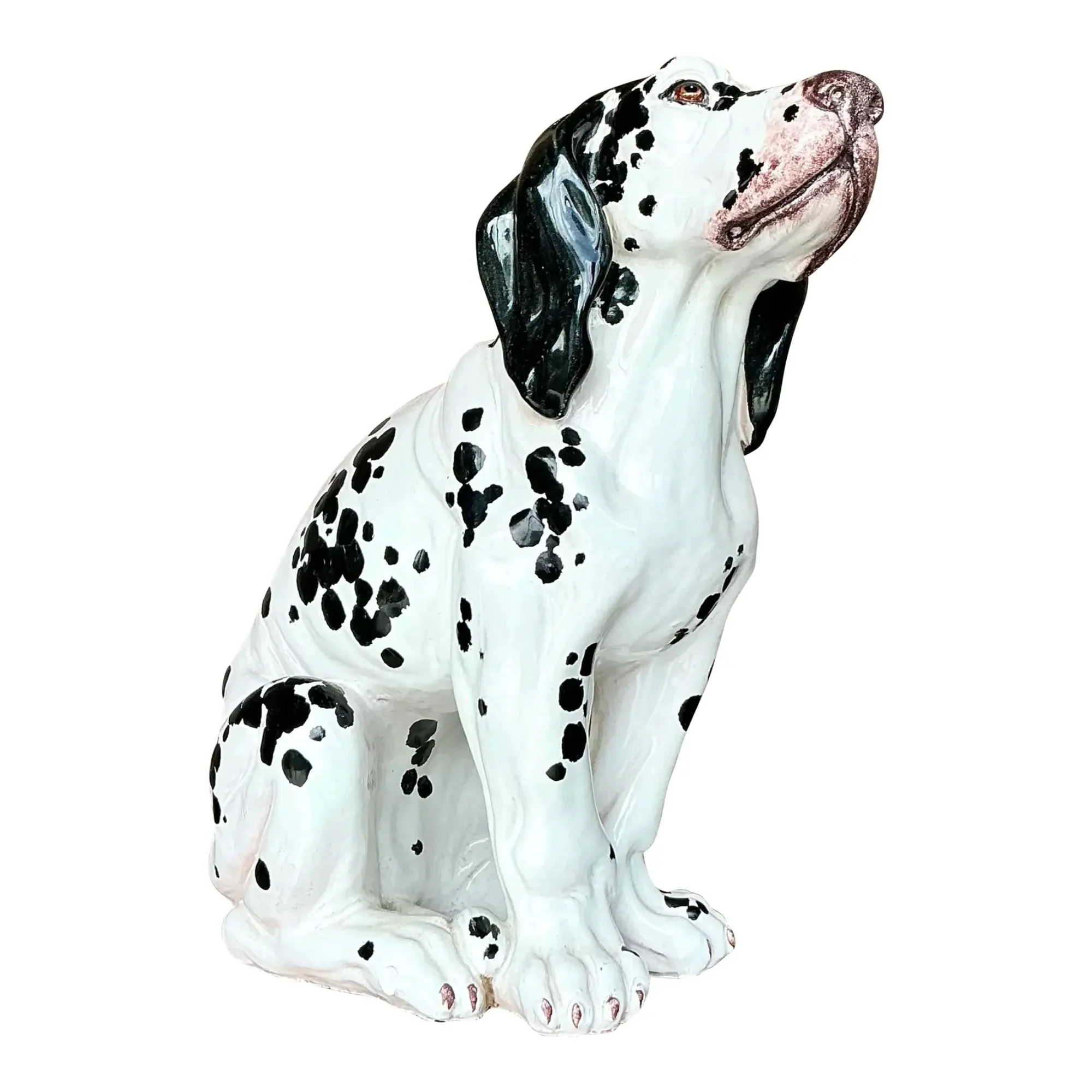 Dalmatian Baby