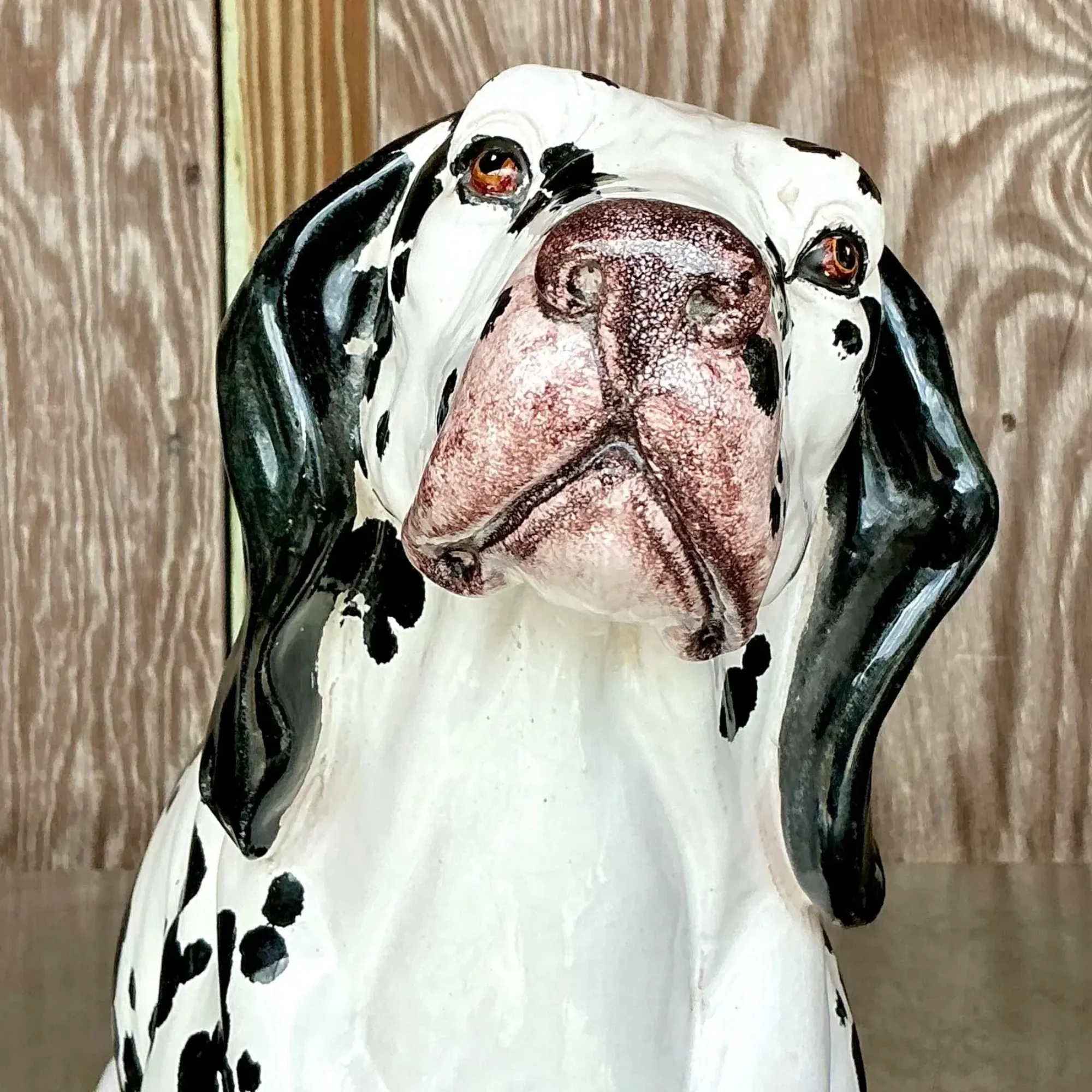 Dalmatian Baby - Image 4