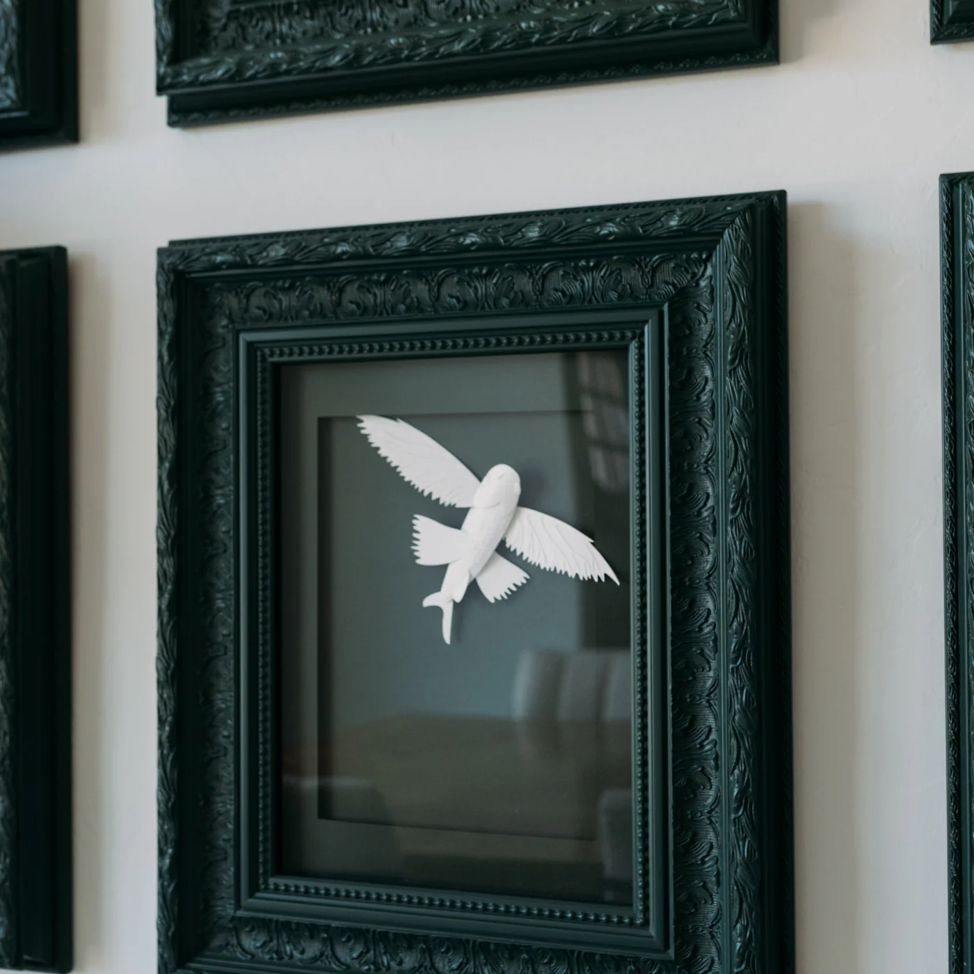 Dionis Flying Fish - Image 3