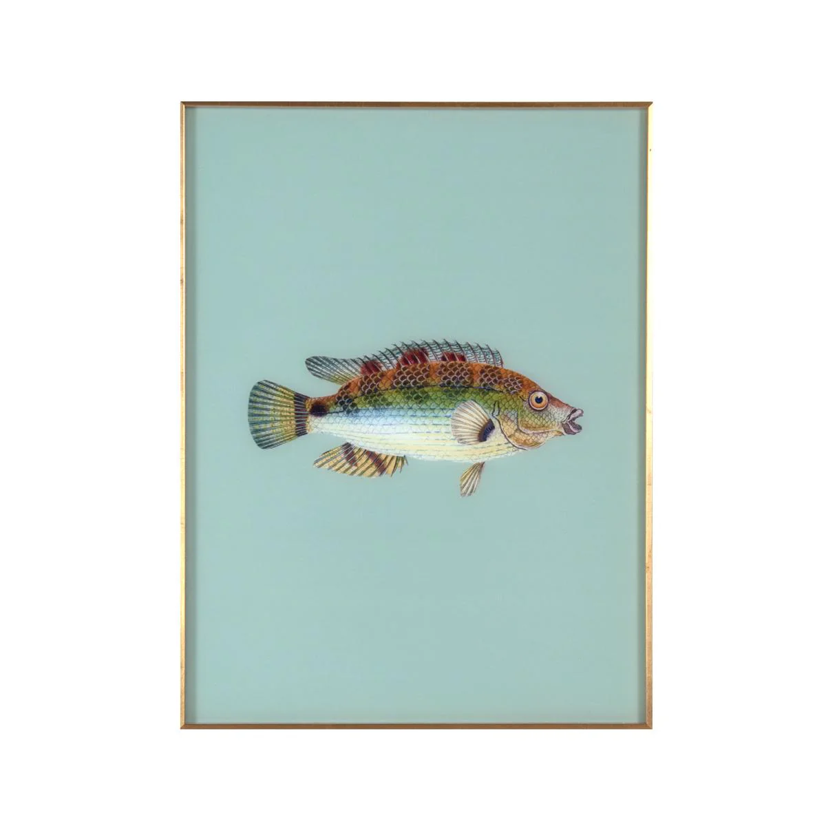 Framed Fish Print in Seagrass