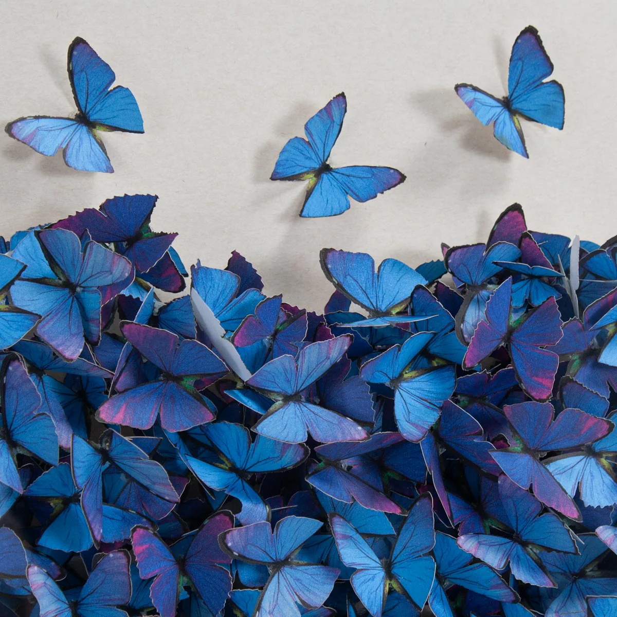 Hearts On Fire - Blue - Image 4