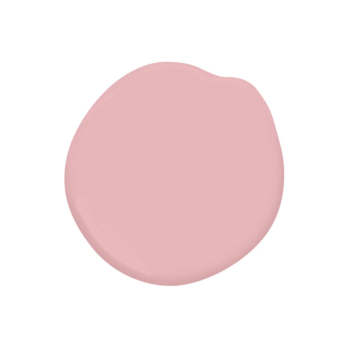 Lacquer Sample - Image 18