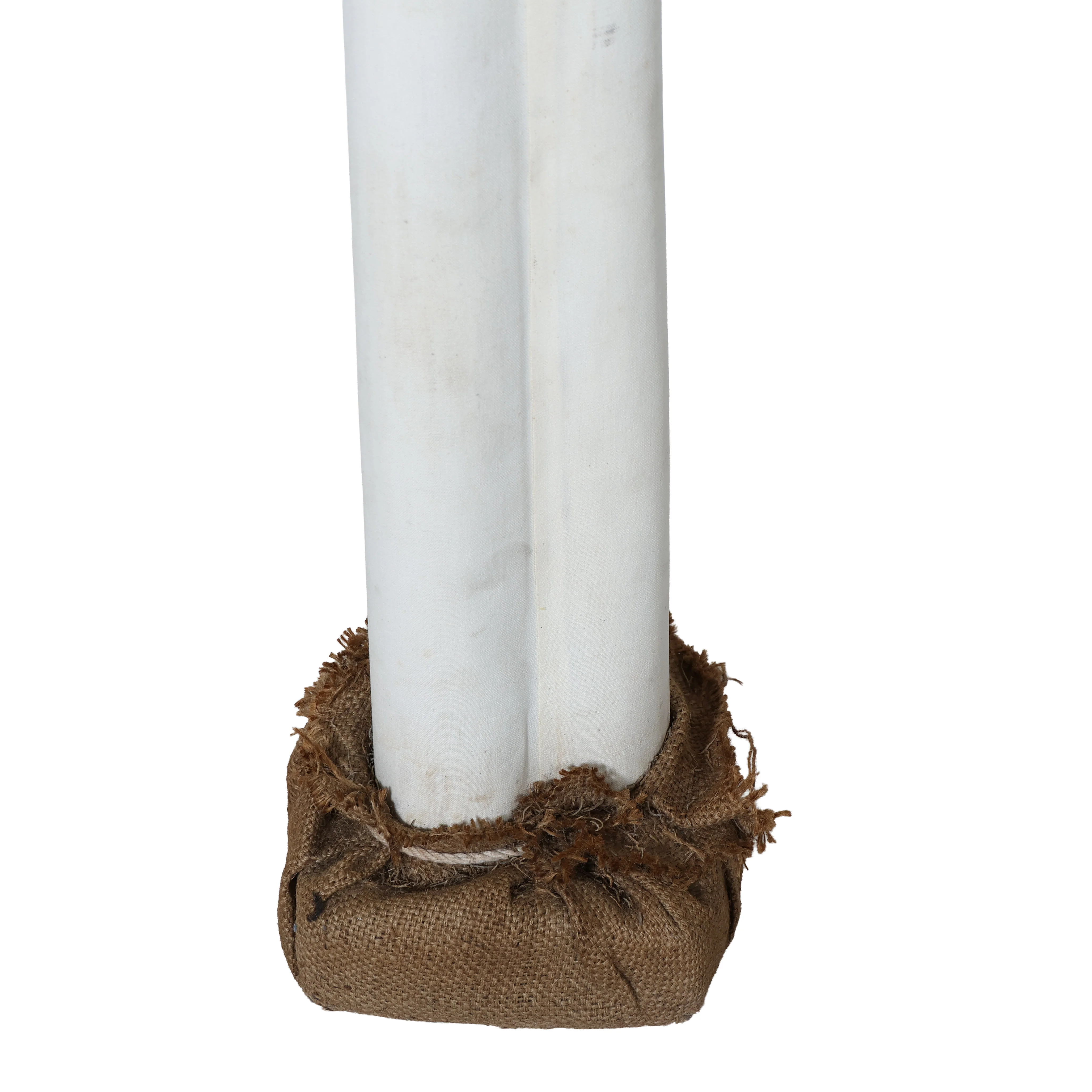 Palm Tree - Image 6